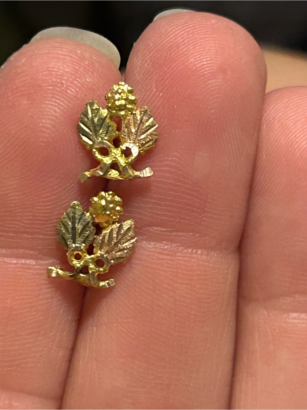 10k Black Hills Gold Leaf & Berry Accent Stud Earrings - Women Jewelry